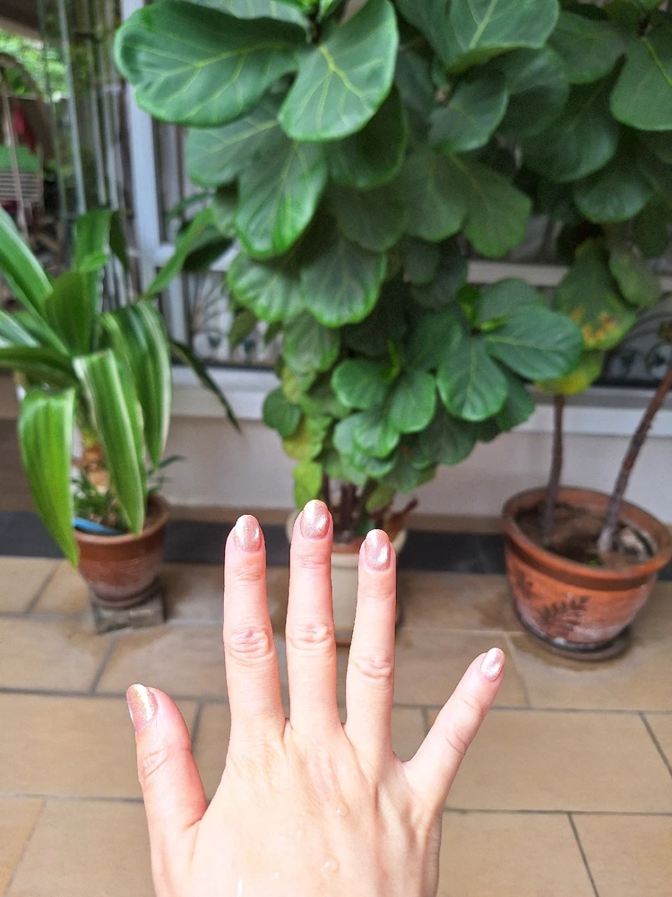 GIF diunggah dening Li hong