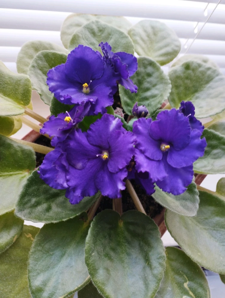 GIF uploaded by Elena