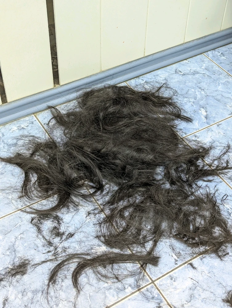 Image uploaded by RAY