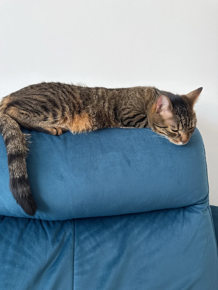 GIF dodany przez Ania