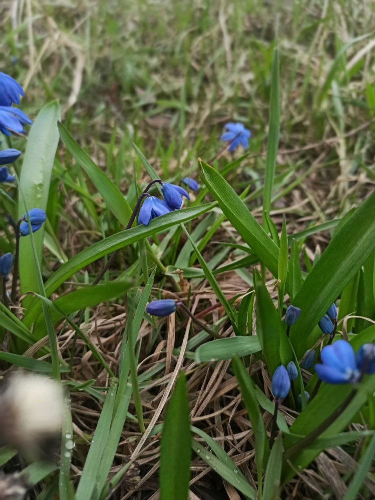 GIF uploaded by Lana