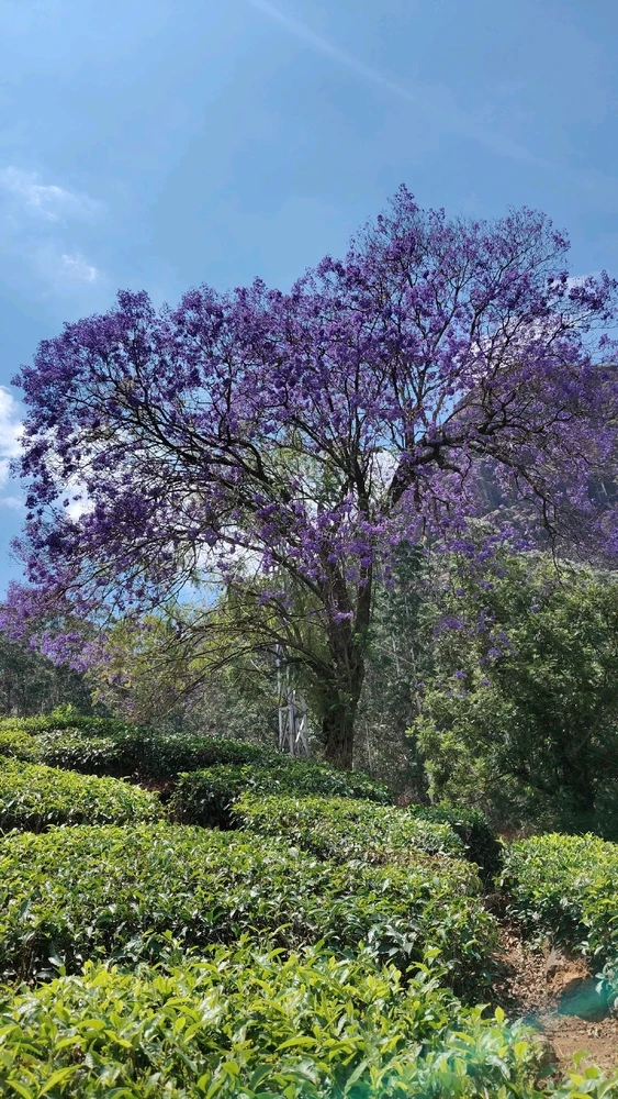 GIF uploaded by Gokul