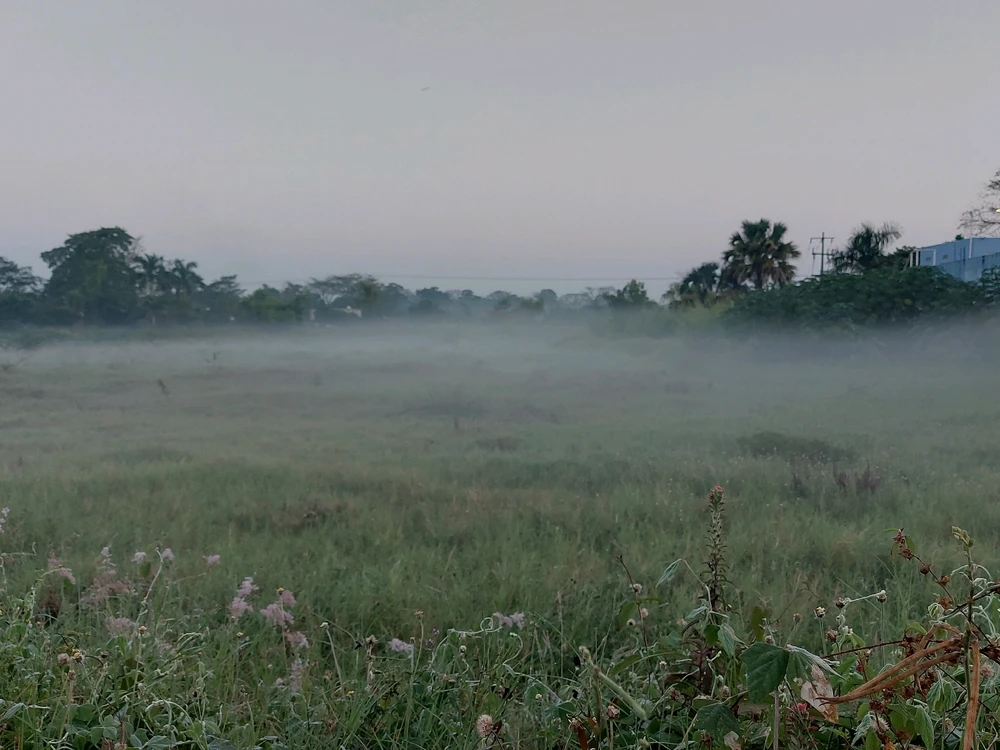 Un Dia,Mas No Cualquiera