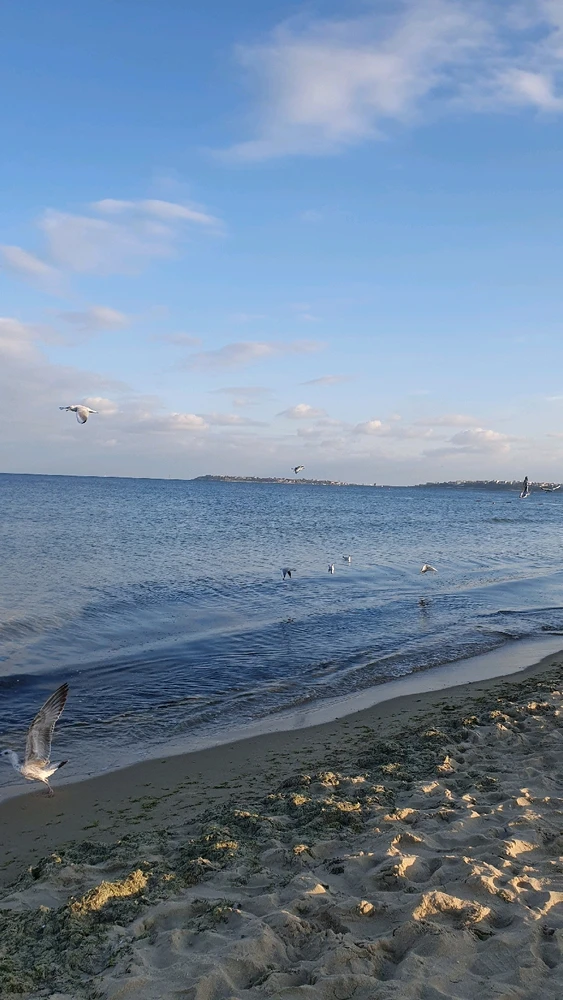 Гіфку завантажив Yana