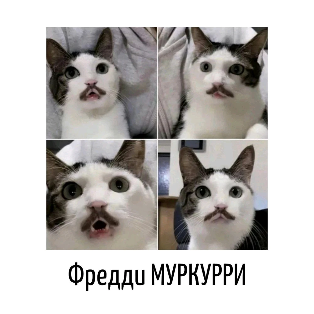 GIF загрузил Maksim