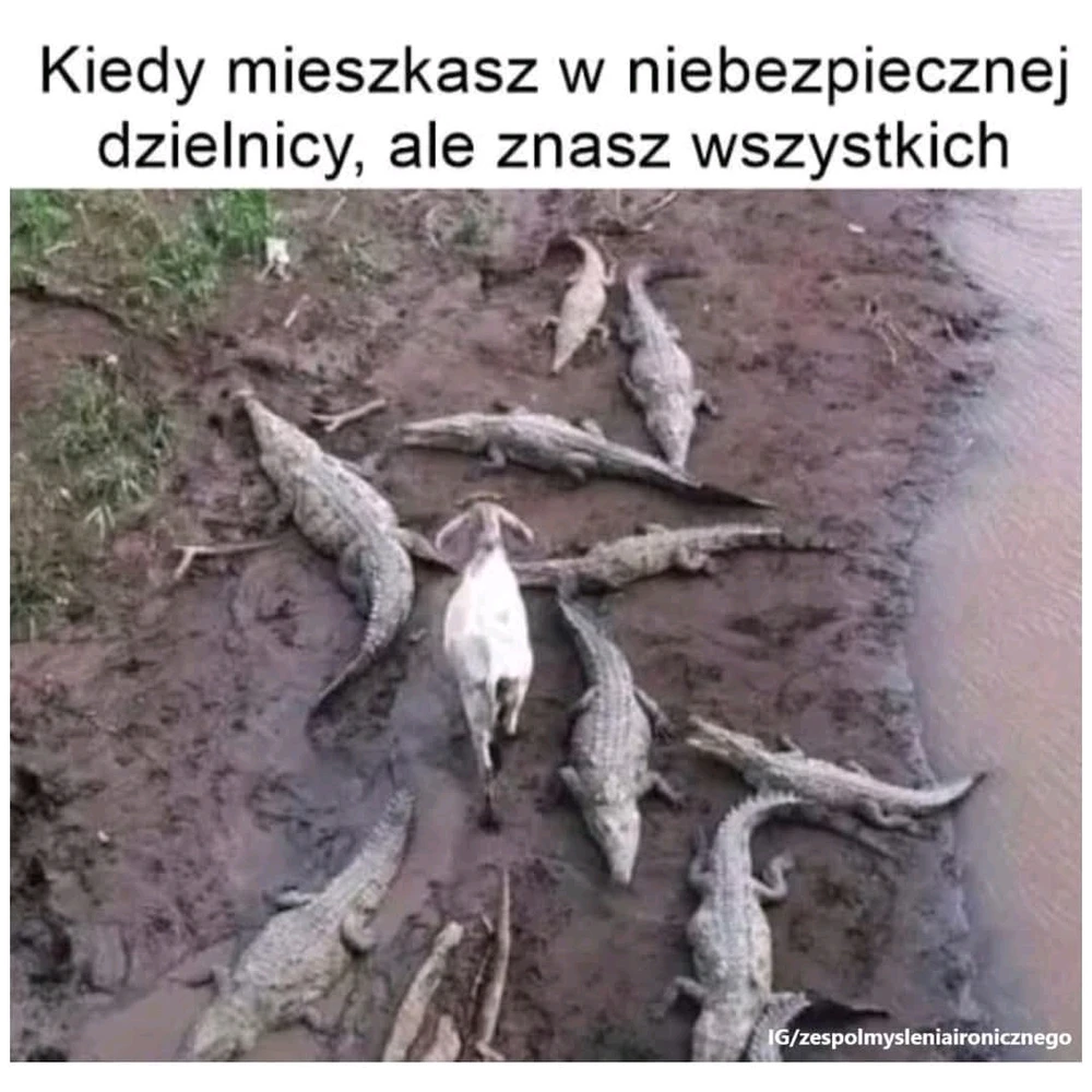Dokładnie tak było