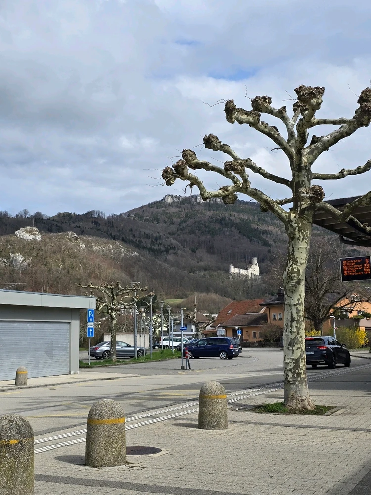 GIF hochgeladen von Erik