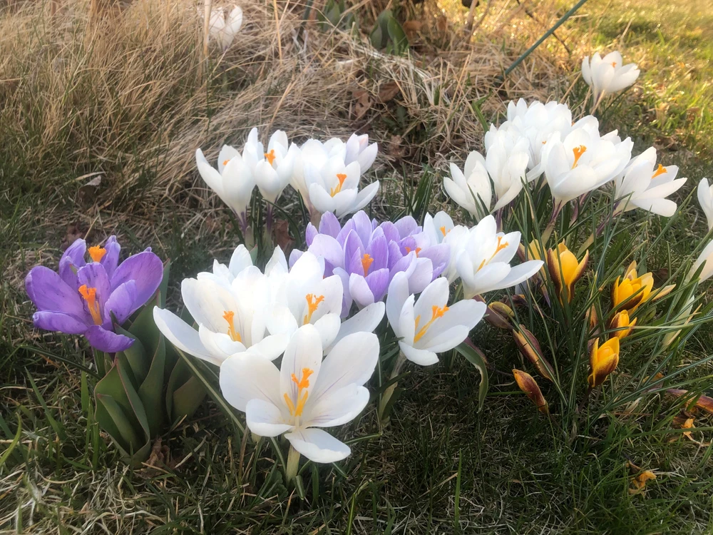 GIF uppladdad av Elwira