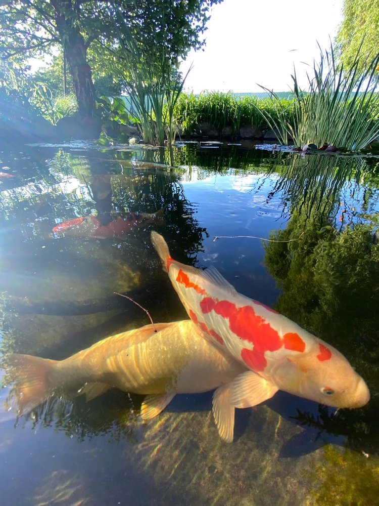 Fotku nahral/-a Michal