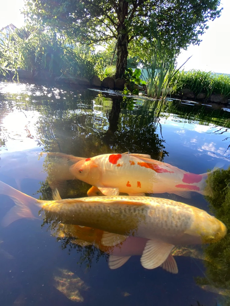 Fotku nahral/-a Michal