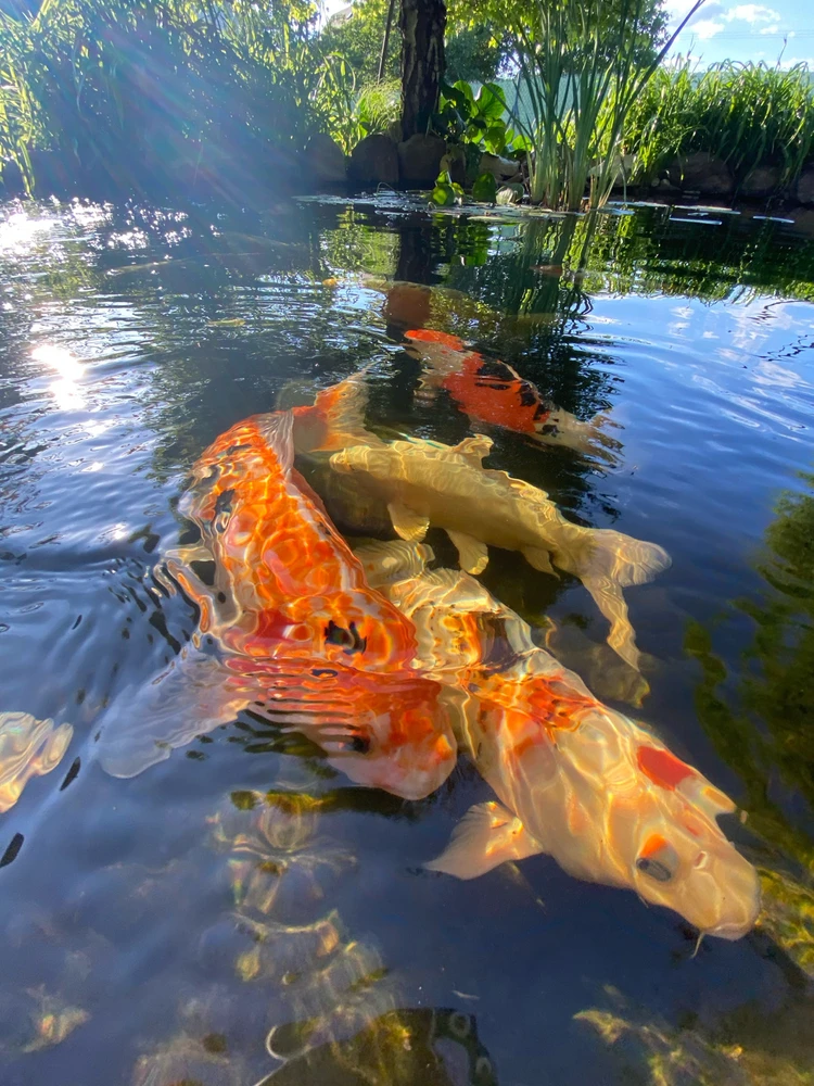 Fotku nahral/-a Michal