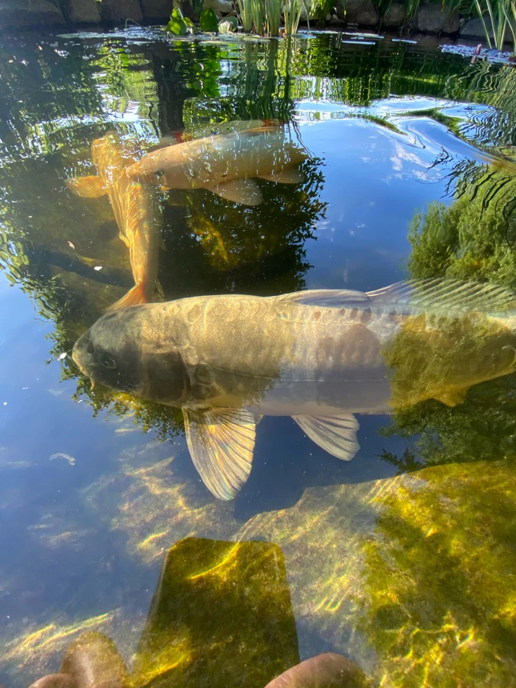 Fotku nahral/-a Michal