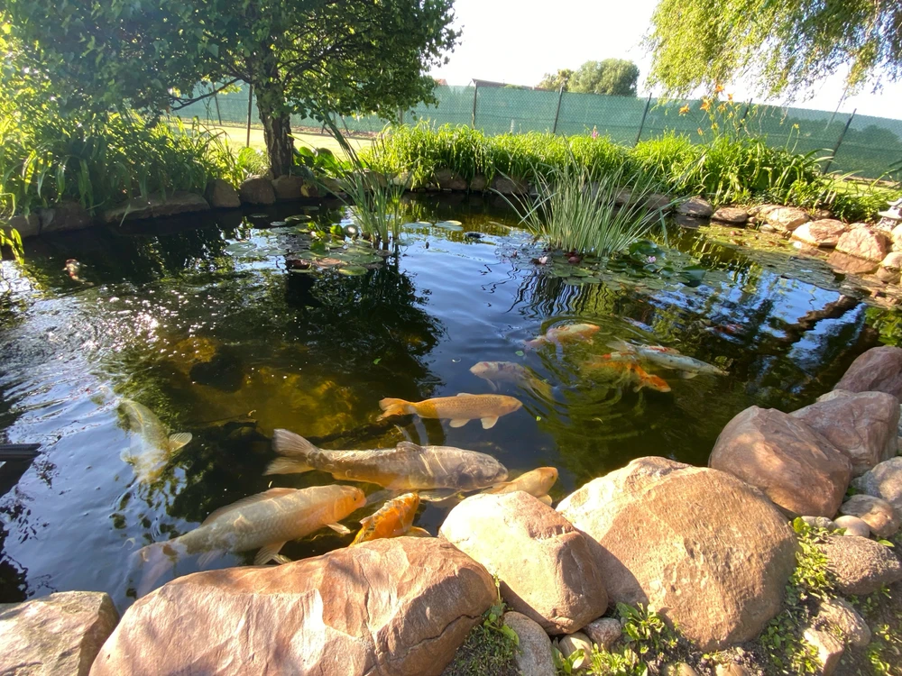 Fotku nahral/-a Michal