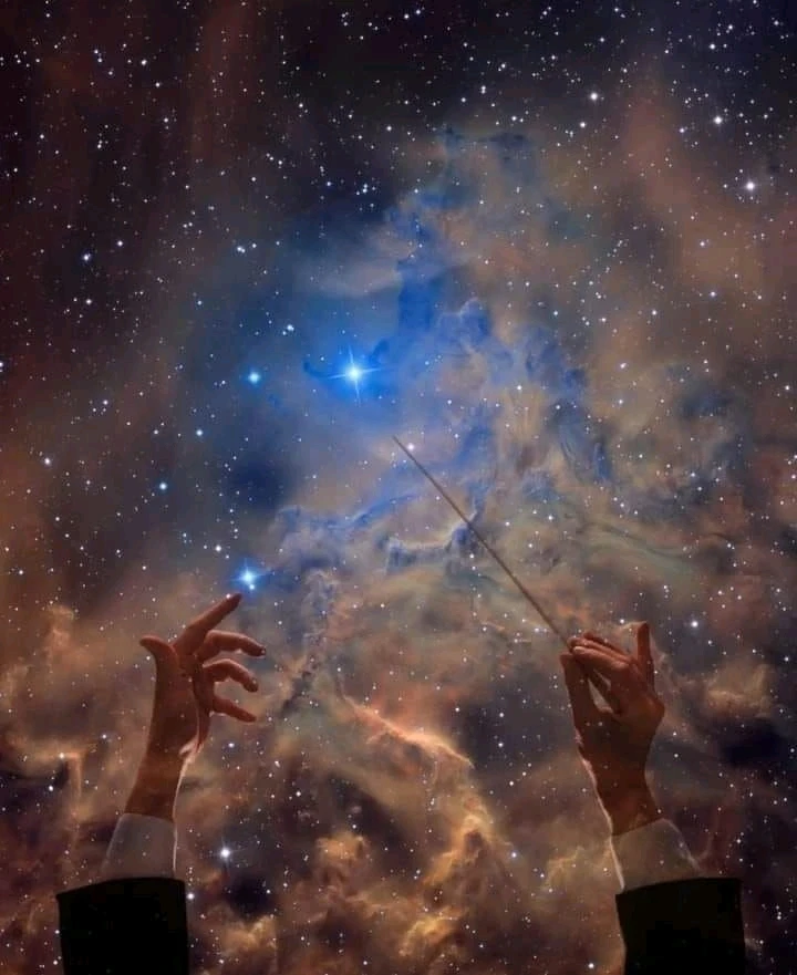 Image uploaded by Віталія/Vita