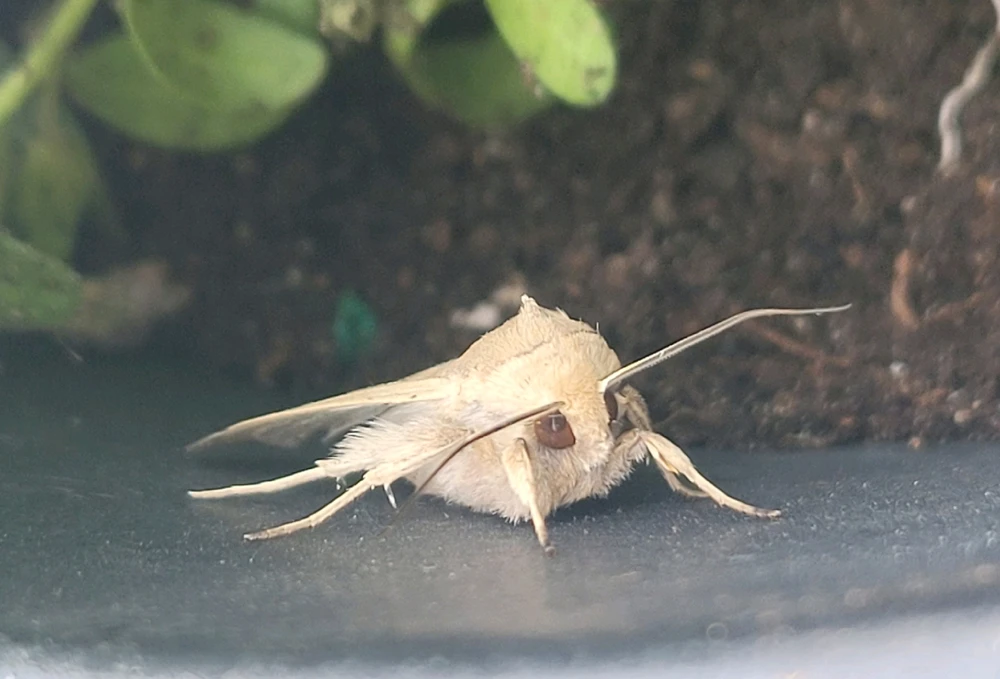 Gambar diunggah dening 𔓎ꑀꌅ꒐ꈵꁲ𔓎 (𖣠ꘘꘘ 𖢧ꛅ𖤢 𖢑ꛎ𖦪𖢉𖤢𖢧)