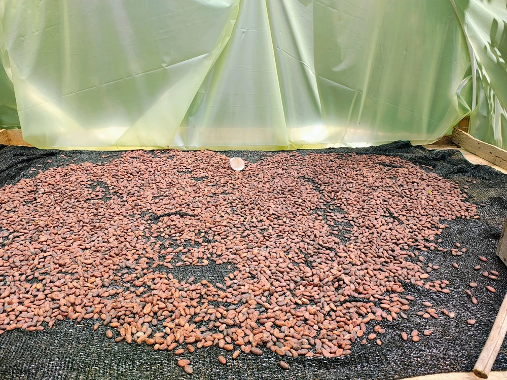 Imagen subida por Harold Jiménez