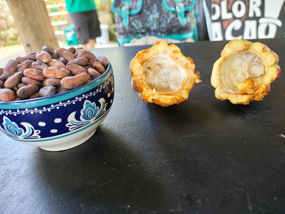 Imagen subida por Harold Jiménez