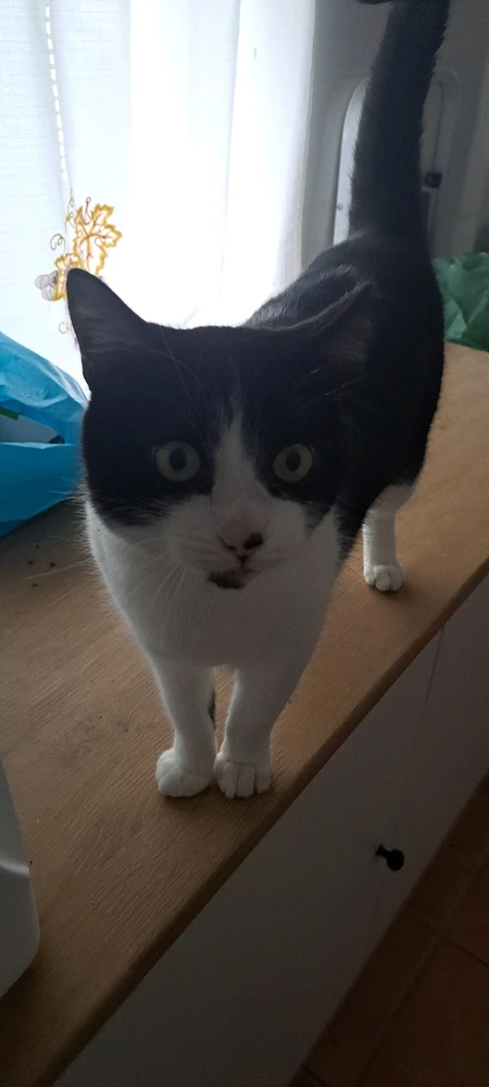 GIF subido por Andre Filipe