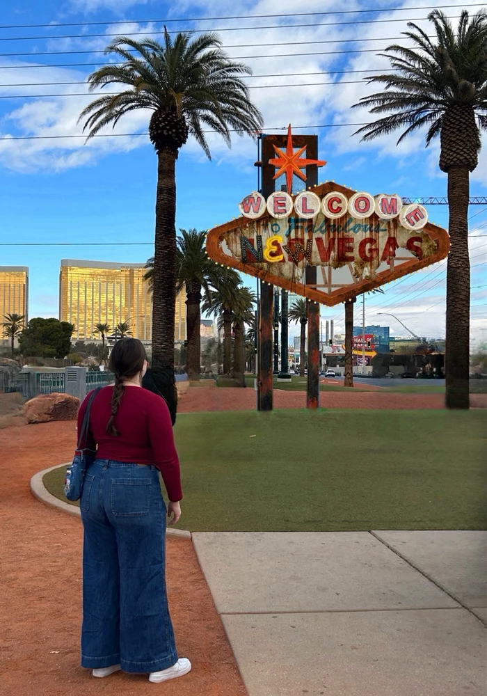 anyone else love fallout new vegas?