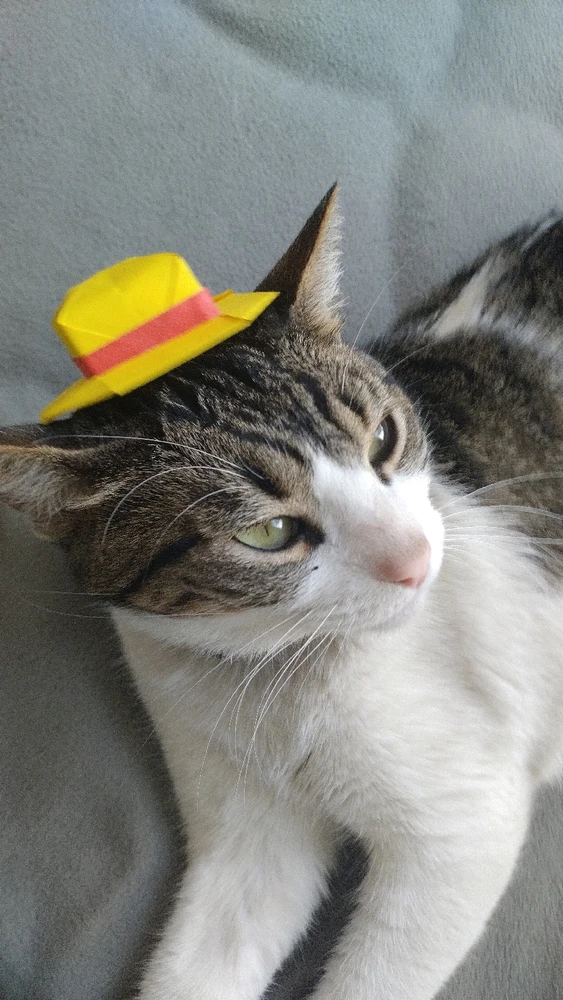 GIF subido por Adrian L.R.