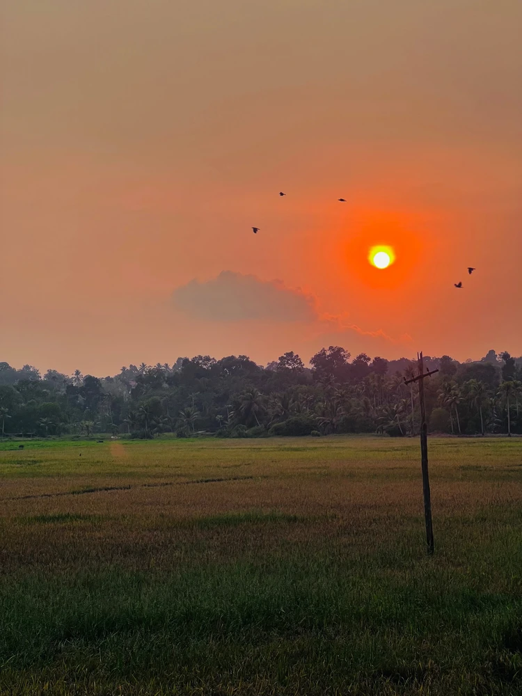 Jubin അപ്‌ലോഡ് ചെയ്ത ചിത്രം