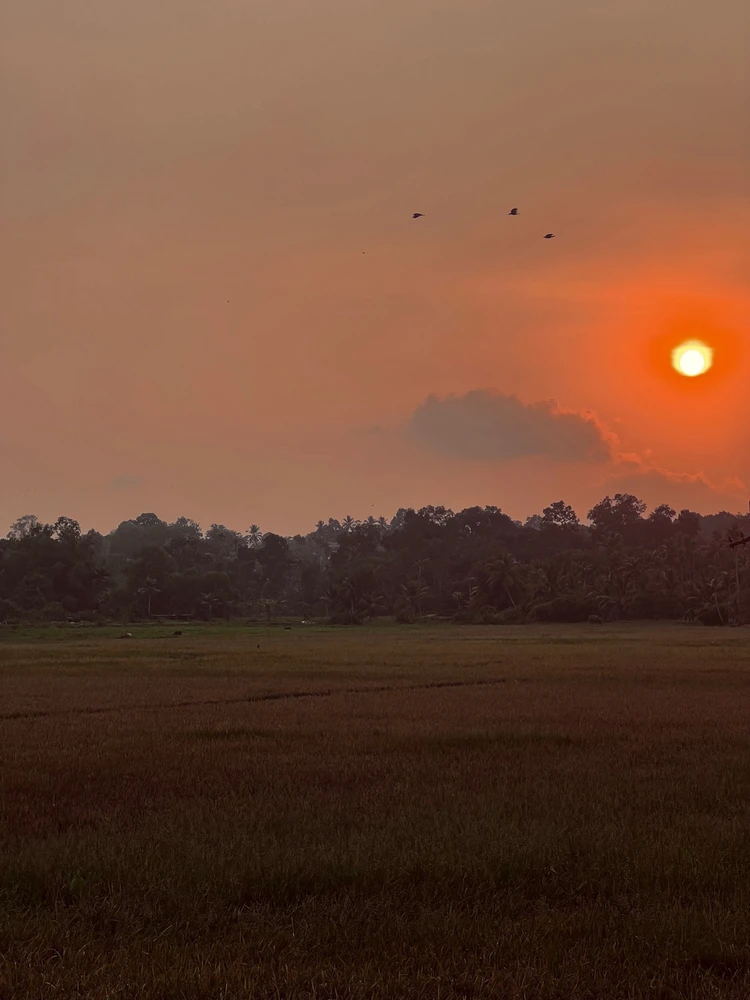 Jubin അപ്‌ലോഡ് ചെയ്ത ചിത്രം