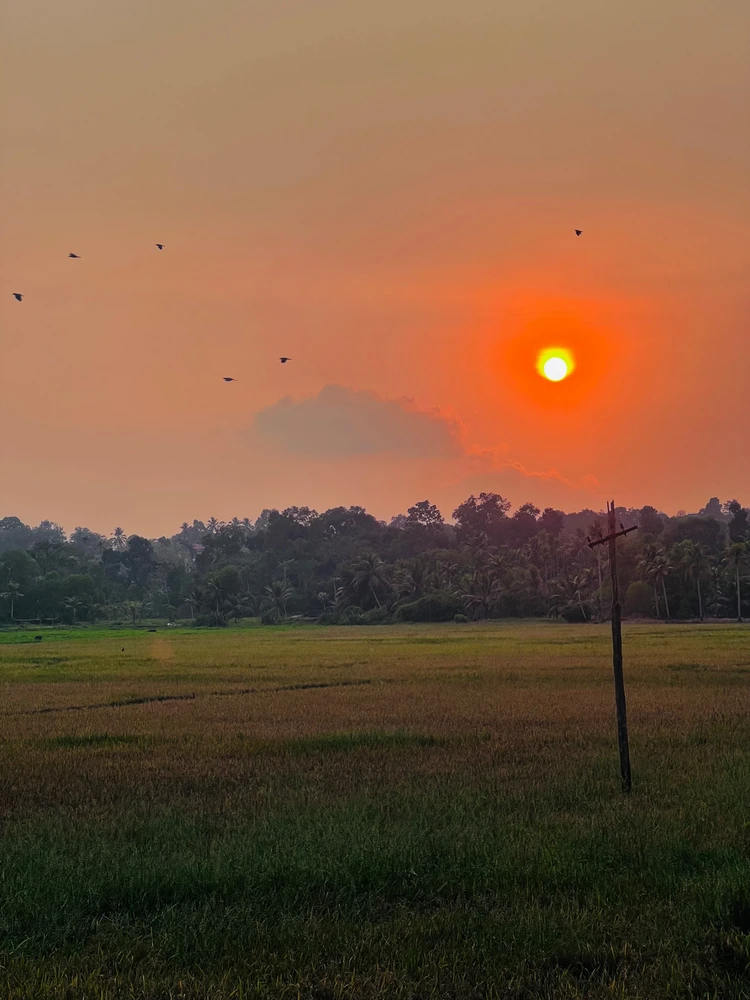 Jubin അപ്‌ലോഡ് ചെയ്ത ചിത്രം