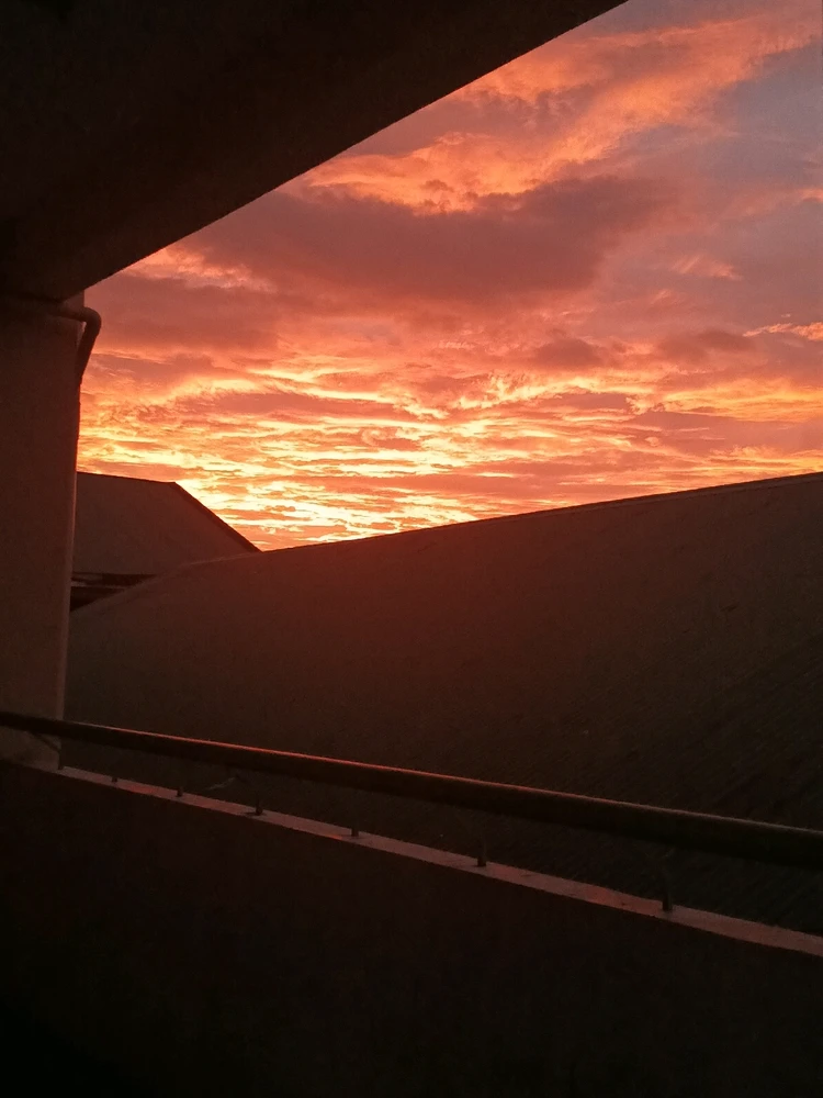 Image uploaded by Calistine