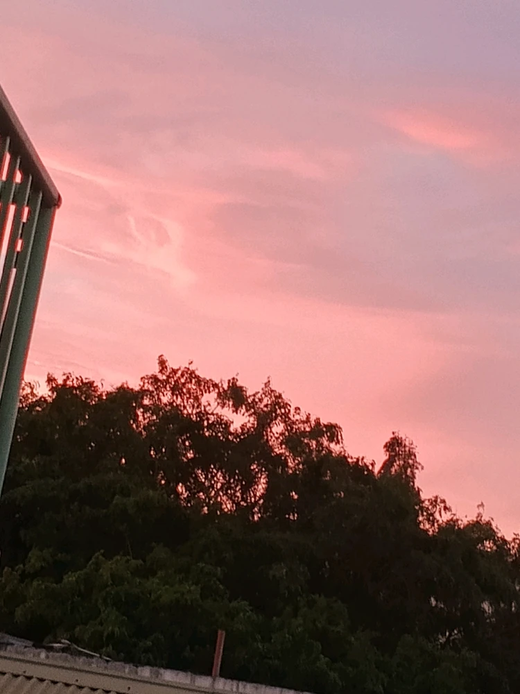 Image uploaded by Calistine