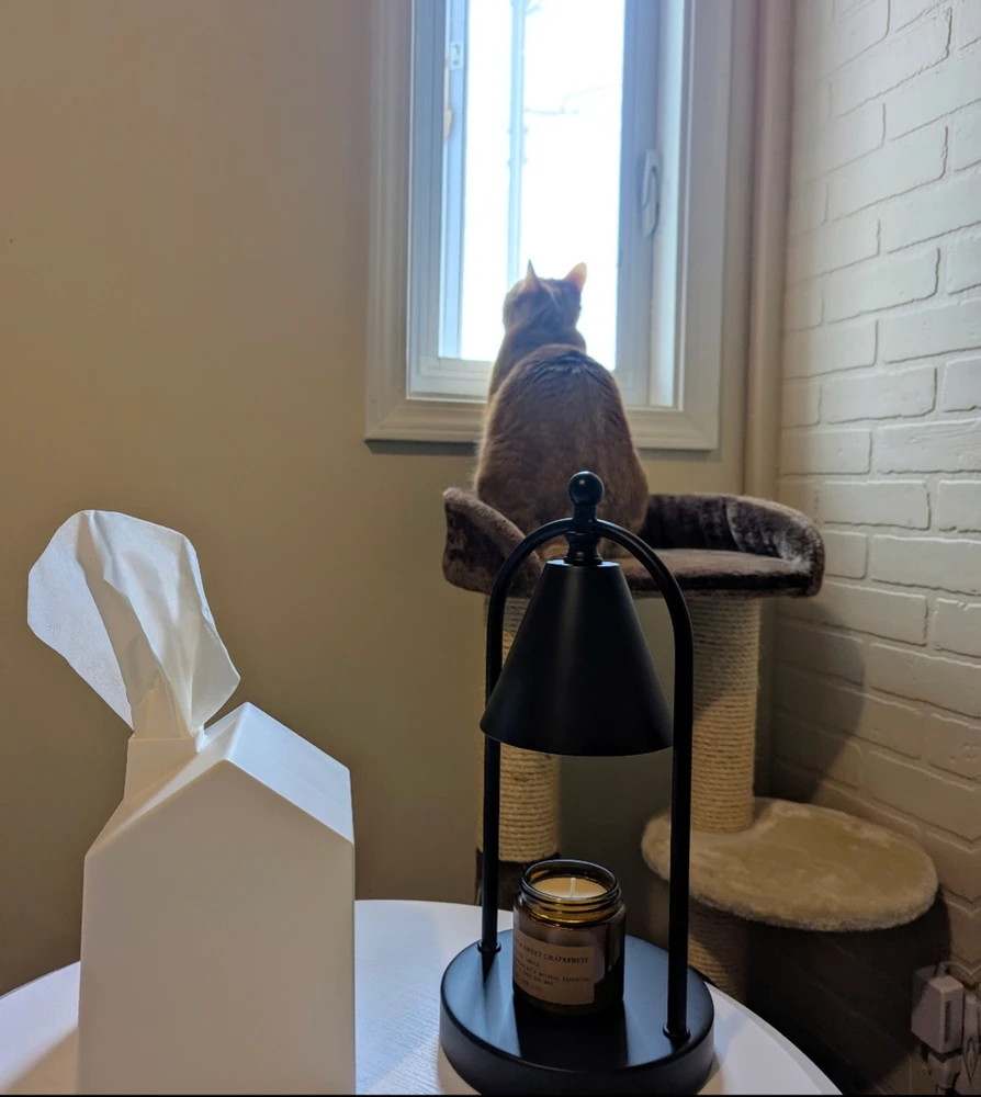 Image uploaded by Melissa