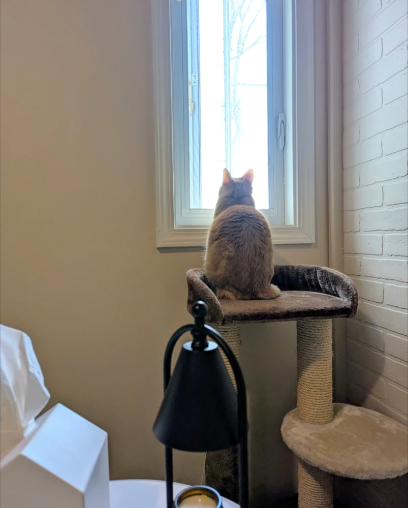 Image uploaded by Melissa