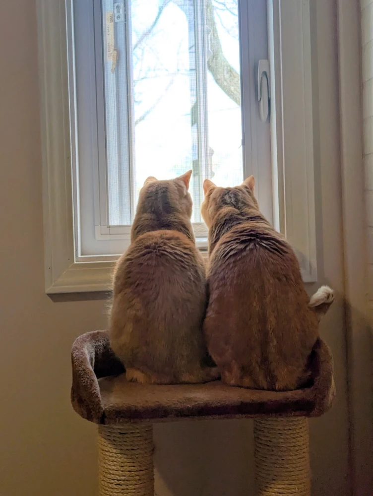 Image uploaded by Melissa