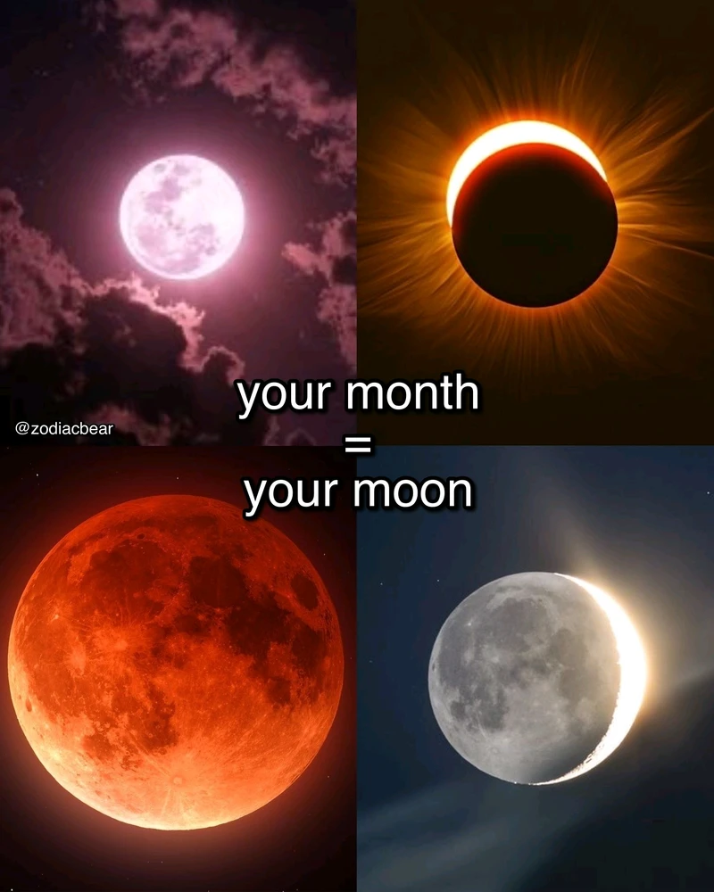 Image uploaded by SuSu