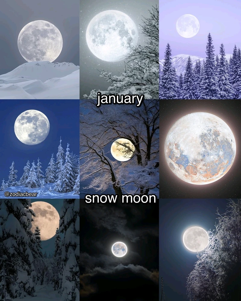 Image uploaded by SuSu