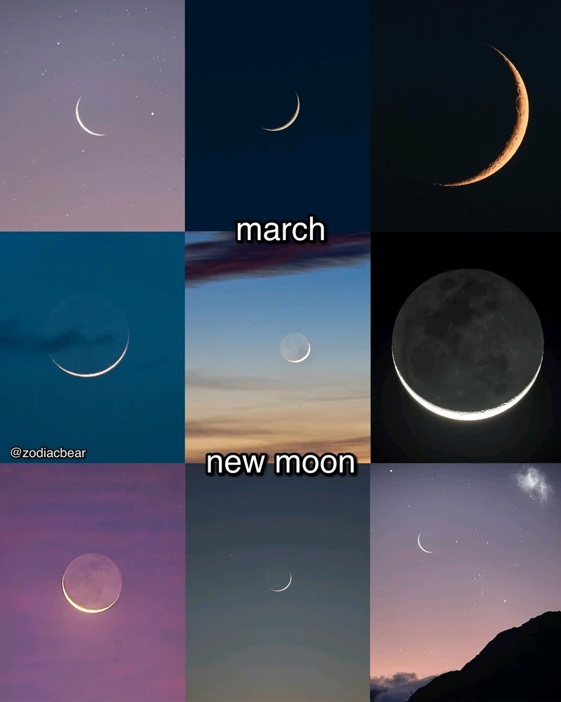 Image uploaded by SuSu