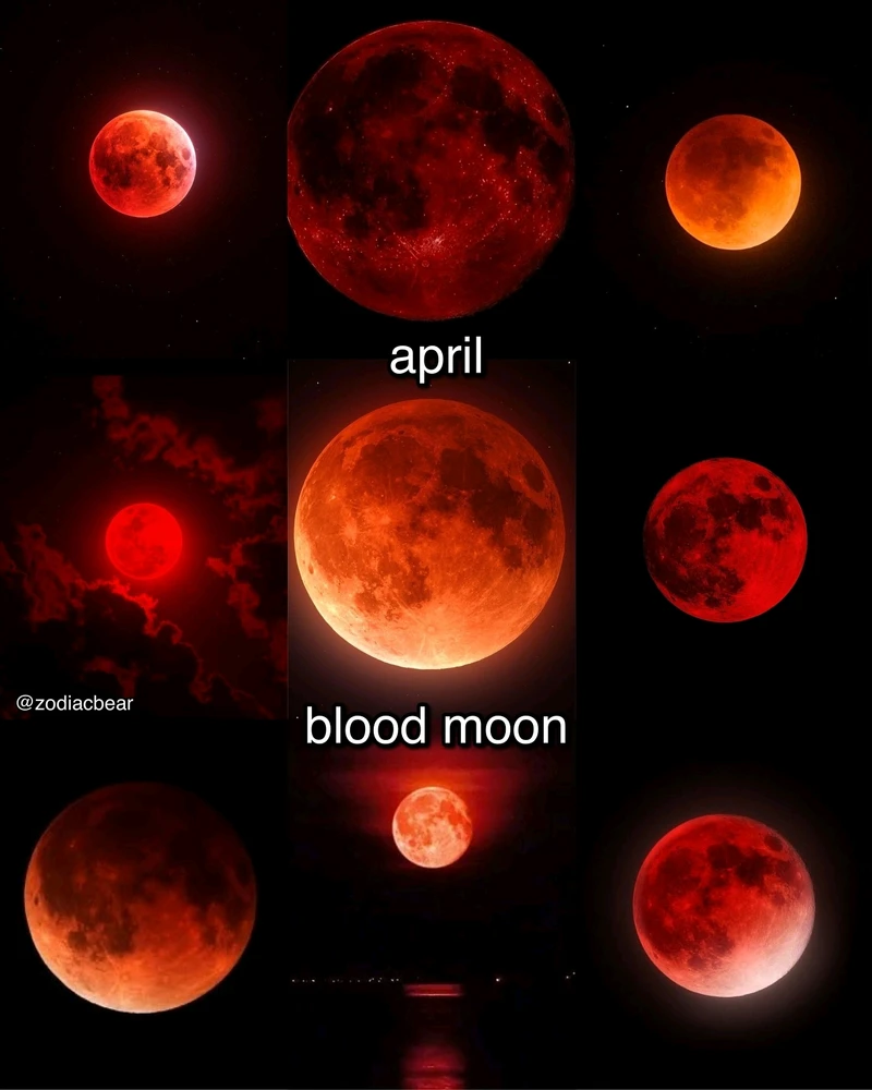 Image uploaded by SuSu