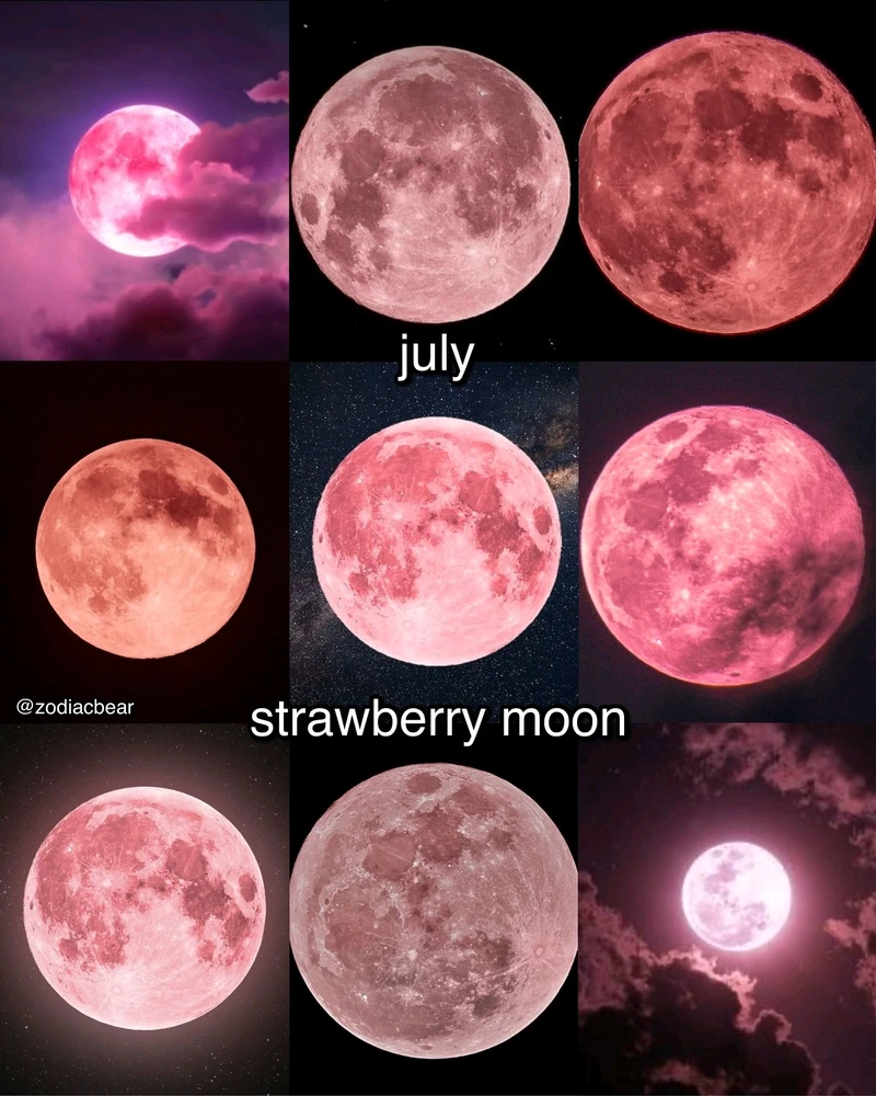 Image uploaded by SuSu