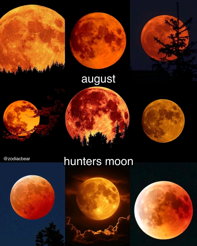 Image uploaded by SuSu