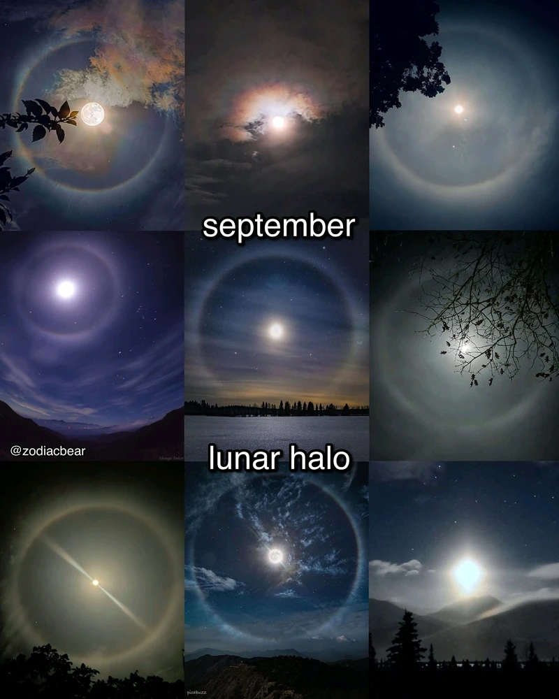 Image uploaded by SuSu