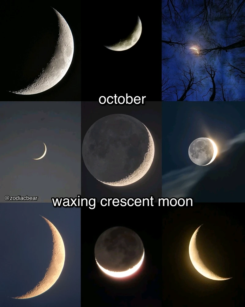 Image uploaded by SuSu