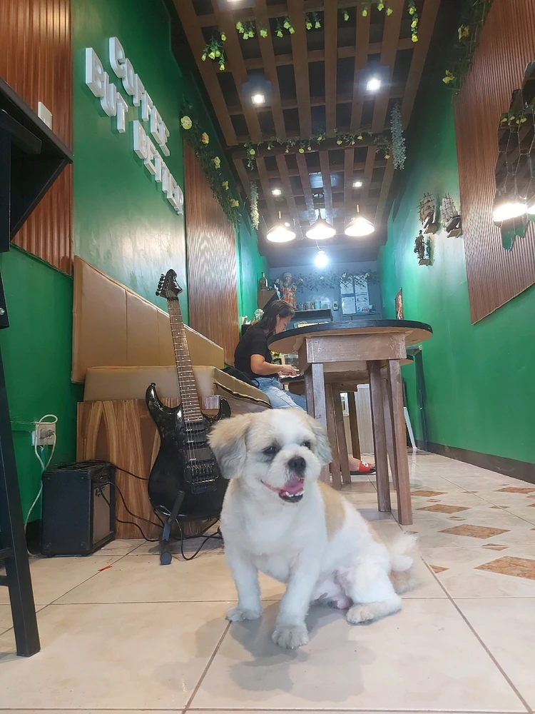 Image uploaded by Angelo