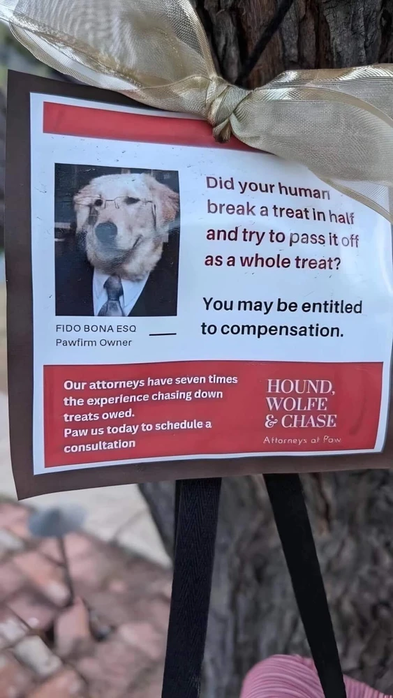 GIF uploaded by Matt