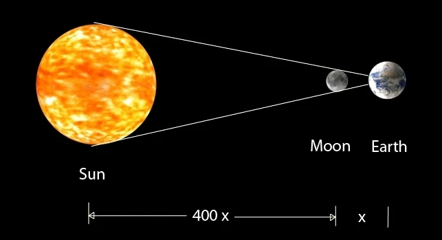 GIF caricata da Daniele A.