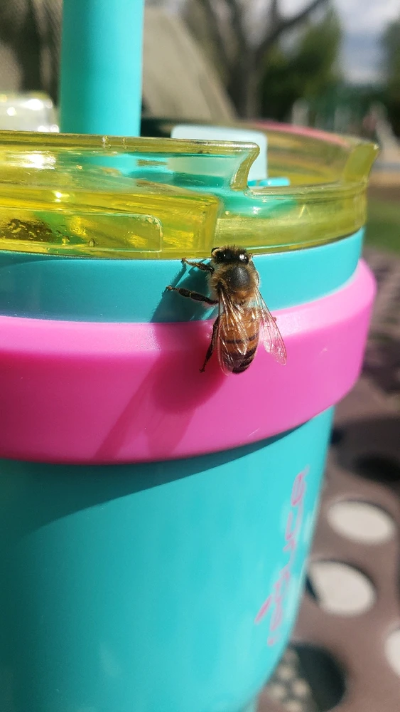 GIF uploaded by laila♡