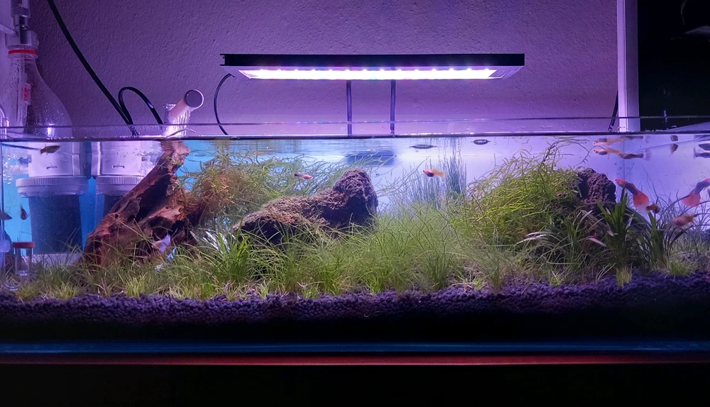 Bild hochgeladen von Sercan