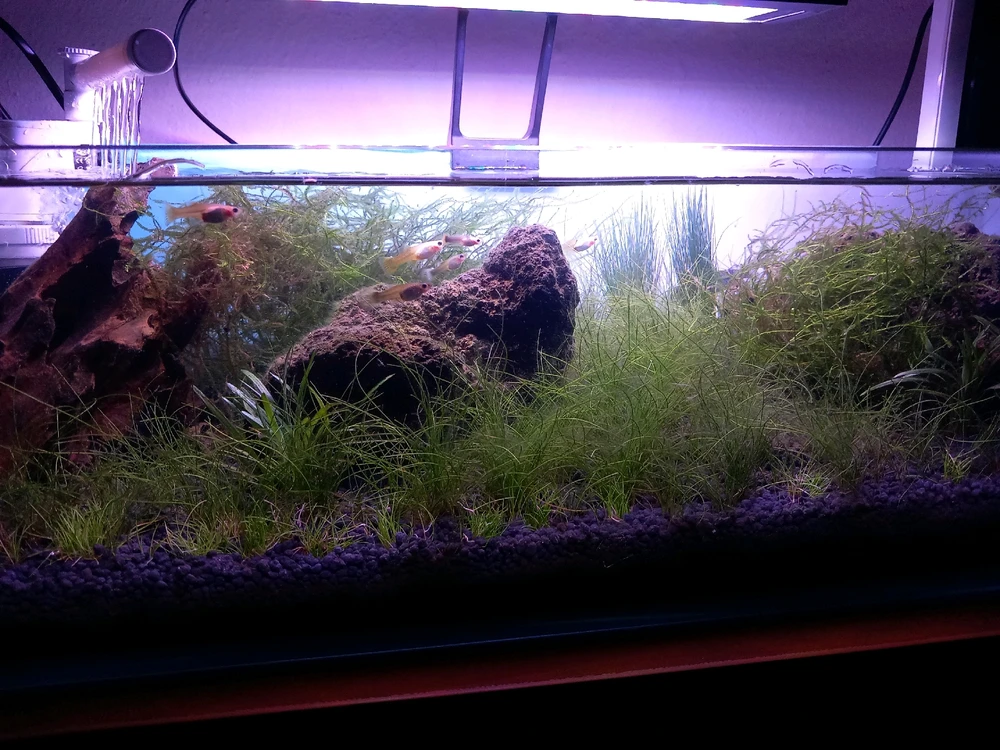 Bild hochgeladen von Sercan