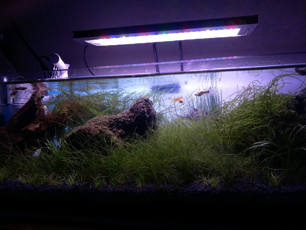 Bild hochgeladen von Sercan