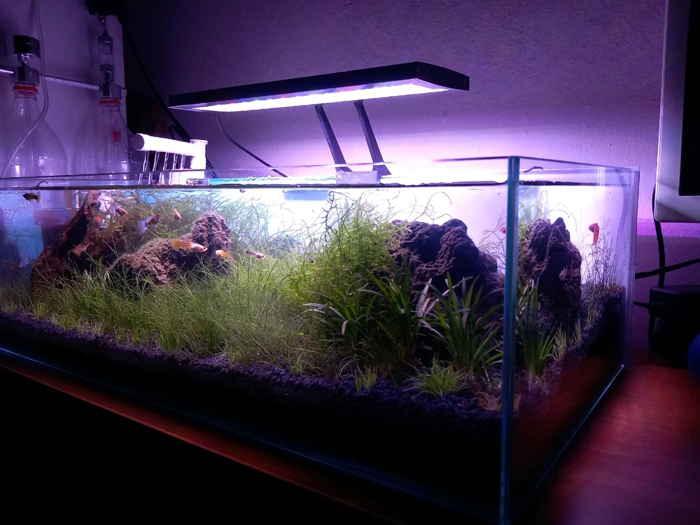 Bild hochgeladen von Sercan