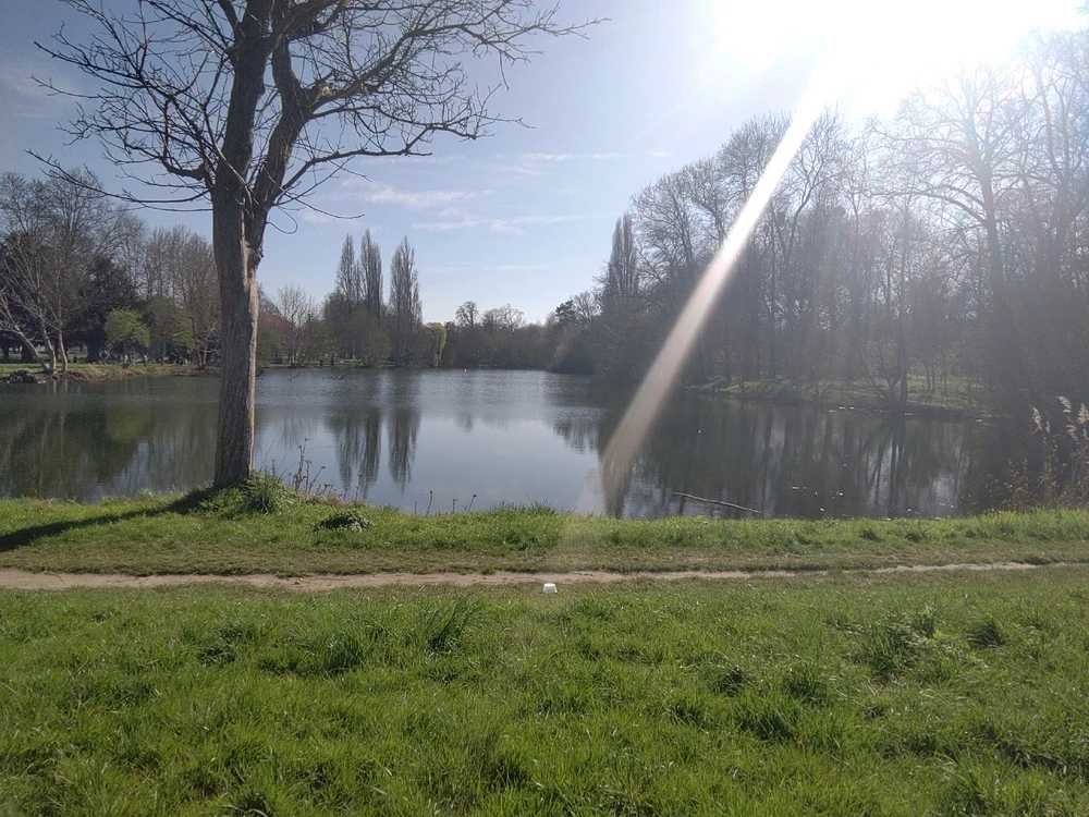 Image ajoutée par Armand