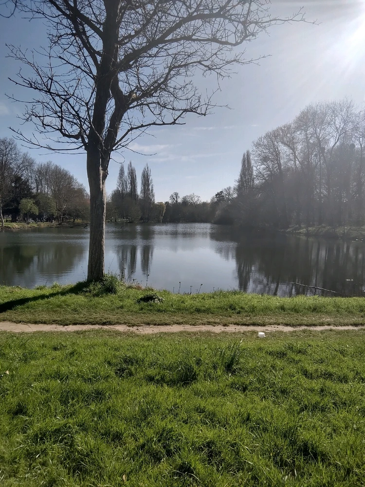 Image ajoutée par Armand